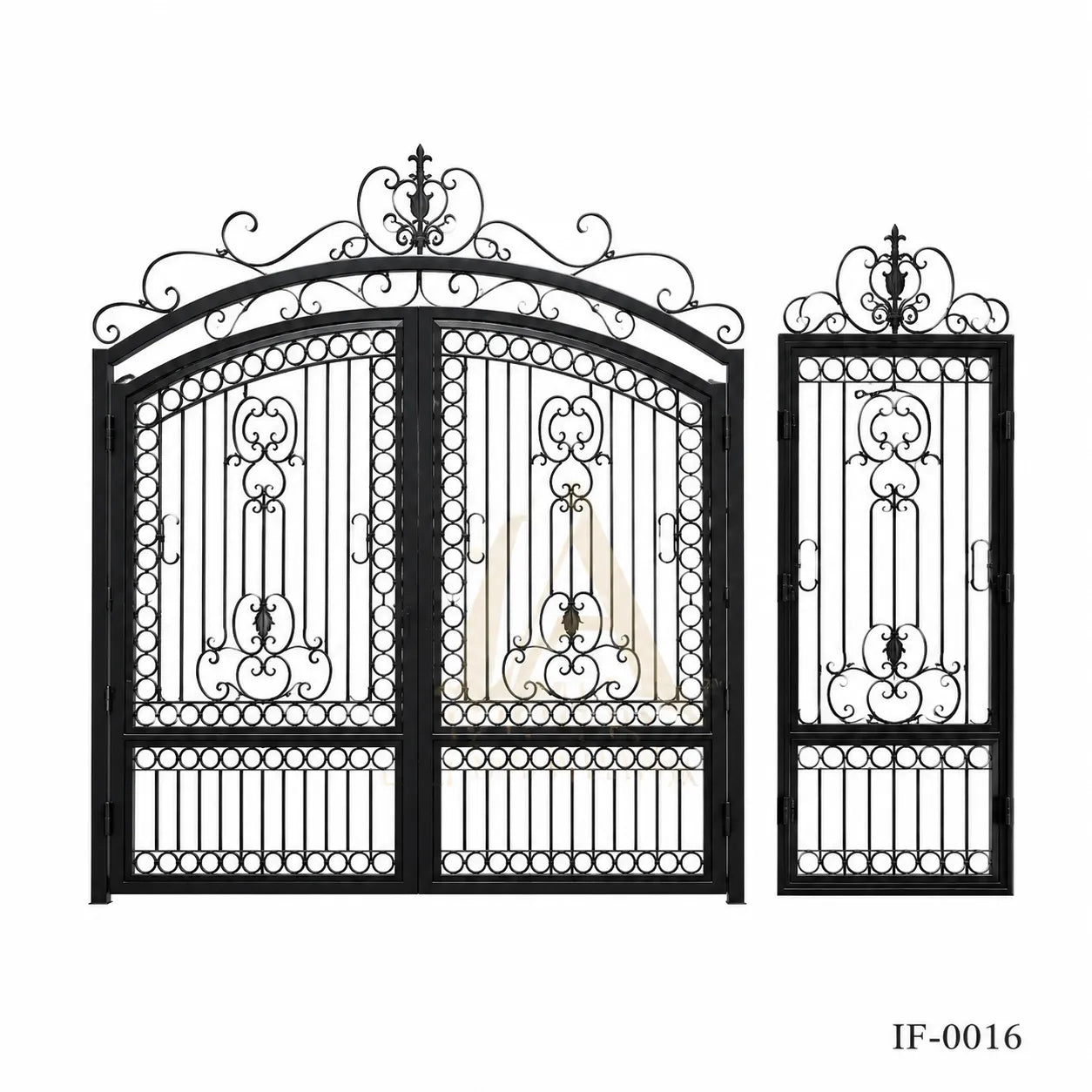 Iron Fence & Gate