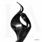 Abstract Black Stainless Steel Ribbon Sculpture