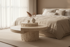 Bedroom Scene No Logo